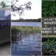 Brantry Lough vandals
