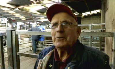 Harry McAnespie